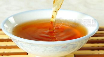 小米酿批发与招商指南 厂家直供、价格趋势与酒类市场机遇