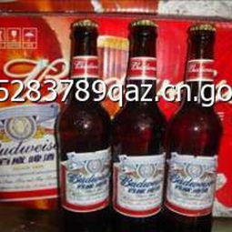 宇佳啤酒 品质与创新的完美融合，最新产品展示与创业商机解析